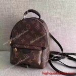 Best Quality Louis Vuitton Palm Springs Backpack Mini Replica